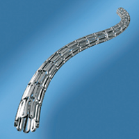 Bare Metal Stents